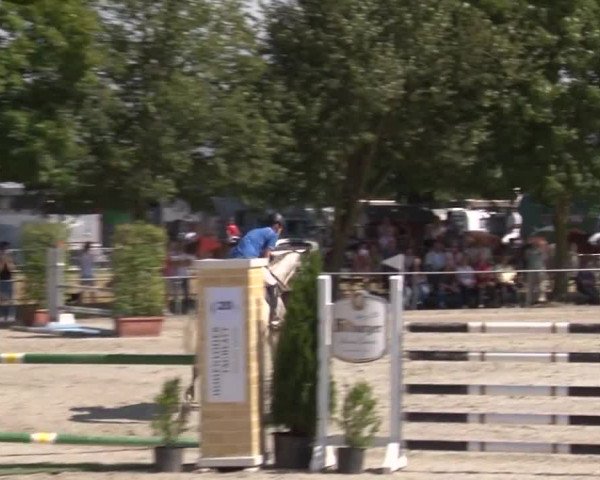 Reitturnier Rot am See- Musdorf 2017