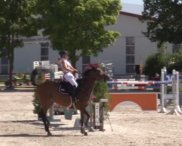 Reitturnier Rot am See- Musdorf 2017
