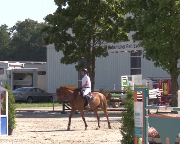 Reitturnier Rot am See- Musdorf 2017