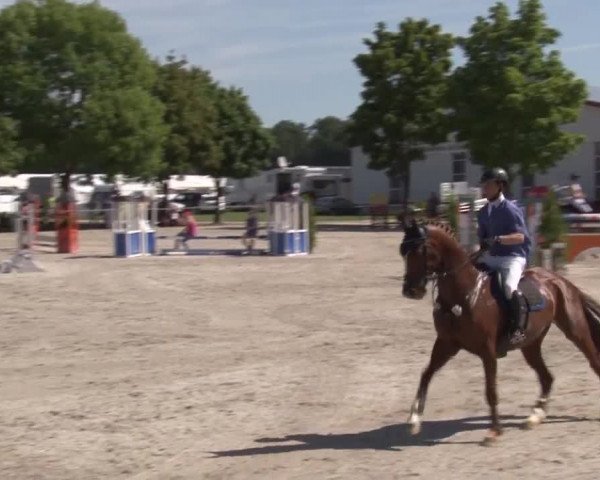 Reitturnier Rot am See- Musdorf 2017