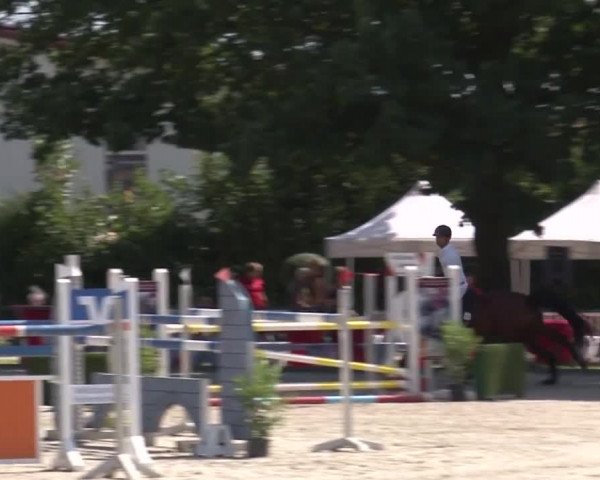 Reitturnier Rot am See- Musdorf 2017