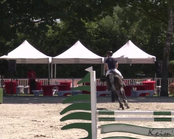 Reitturnier Rot am See- Musdorf 2017