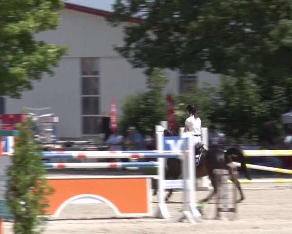 Reitturnier Rot am See- Musdorf 2017