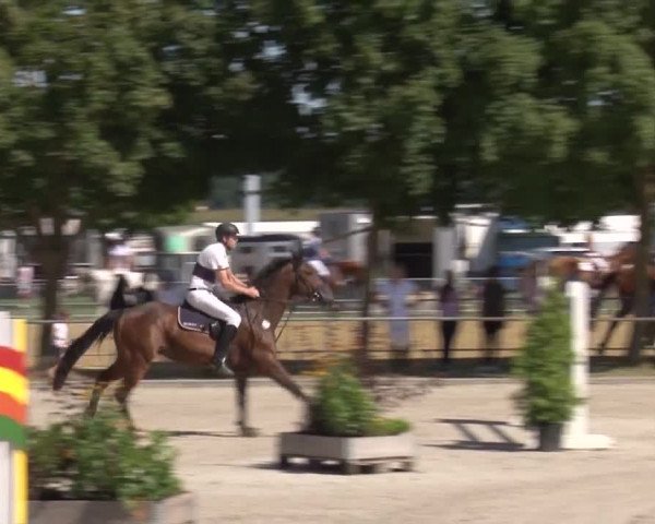 Reitturnier Rot am See- Musdorf 2017