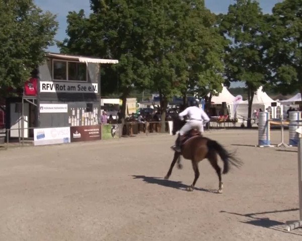 Reitturnier Rot am See- Musdorf 2017
