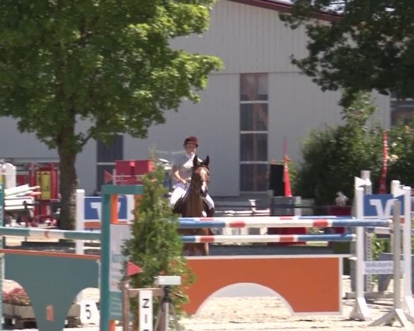 Reitturnier Rot am See- Musdorf 2017