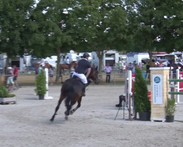 Reitturnier Rot am See- Musdorf 2017