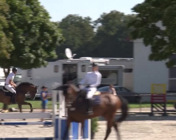 Reitturnier Rot am See- Musdorf 2017