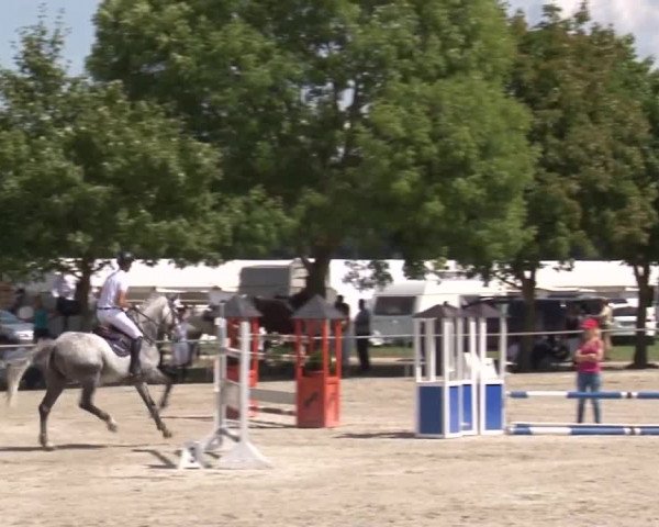 Reitturnier Rot am See- Musdorf 2017