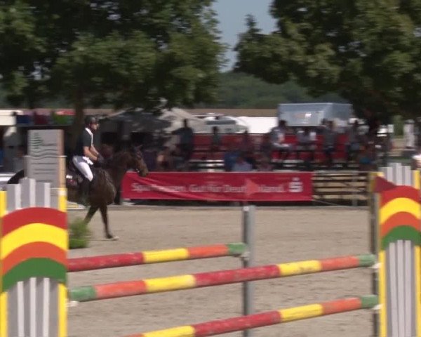 Reitturnier Rot am See- Musdorf 2017