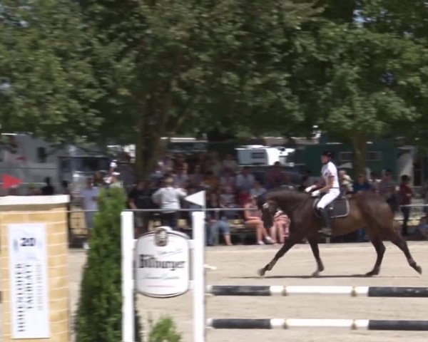 Reitturnier Rot am See- Musdorf 2017