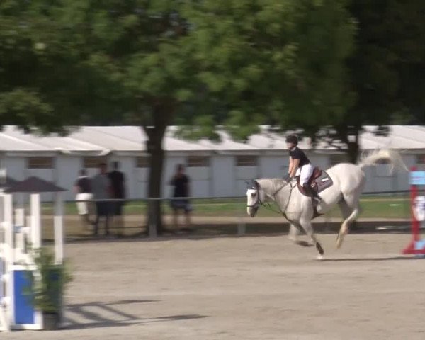 Reitturnier Rot am See- Musdorf 2017