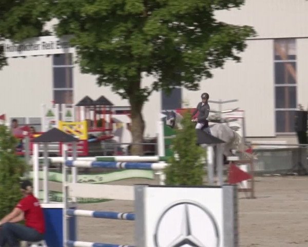 Reitturnier Rot am See- Musdorf 2017