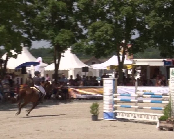 Reitturnier Rot am See- Musdorf 2017