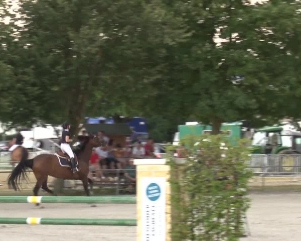 Reitturnier Rot am See- Musdorf 2017