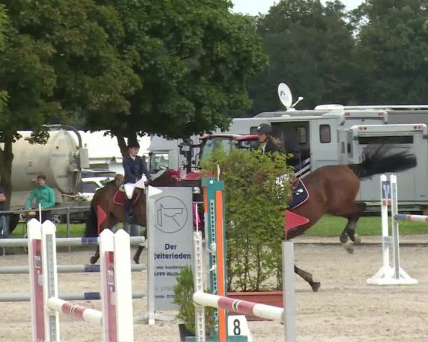 Reitturnier Rot am See- Musdorf 2017