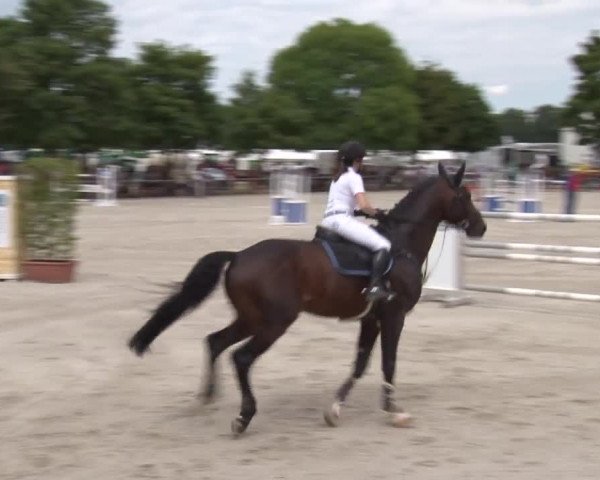Reitturnier Rot am See- Musdorf 2017