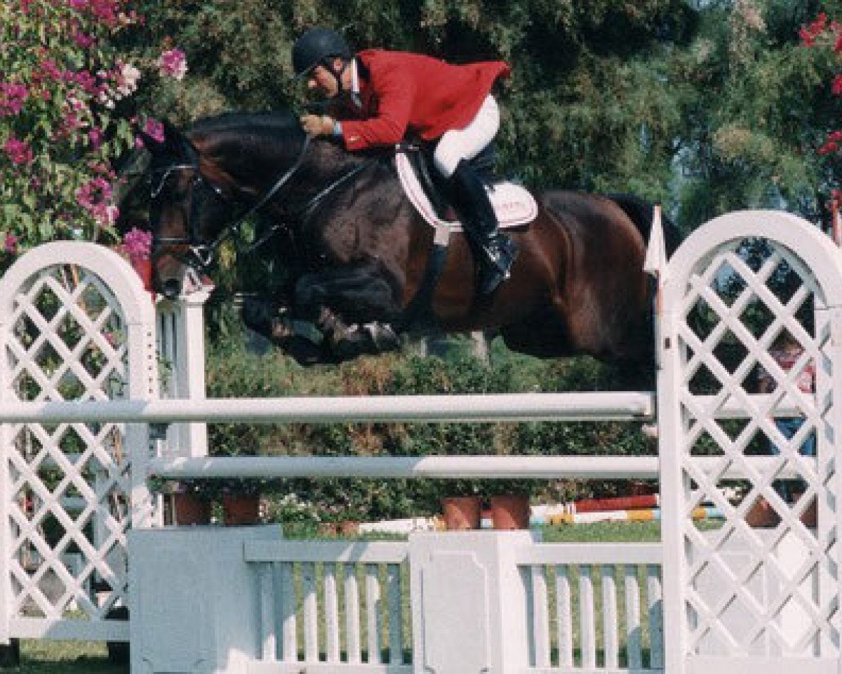 Deckhengst Le Grand Lord (Holsteiner, 1989, von Le Grand I)