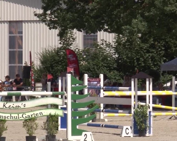 Reitturnier Rot am See- Musdorf 2017