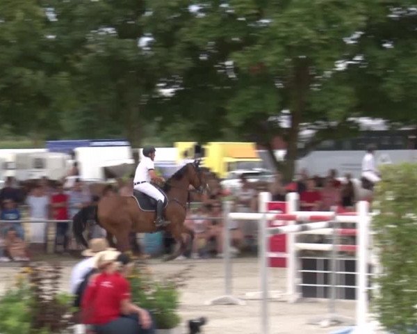 Reitturnier Rot am See- Musdorf 2017