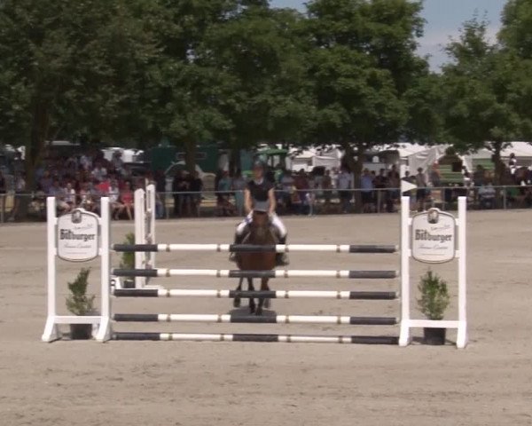 Reitturnier Rot am See- Musdorf 2017