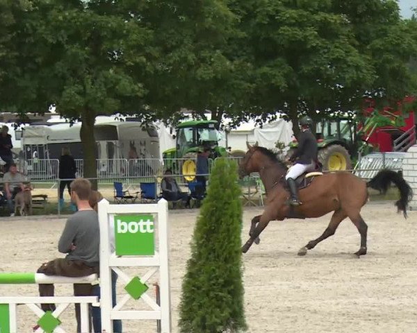 Reitturnier Rot am See- Musdorf 2017