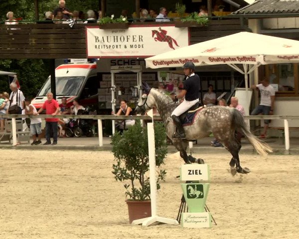 Reitturnier Waiblingen 2017