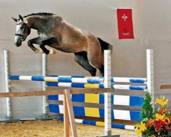 broodmare Rietenberg’s Cornetina CH (Swiss Warmblood, 2009, from Cornet Obolensky)