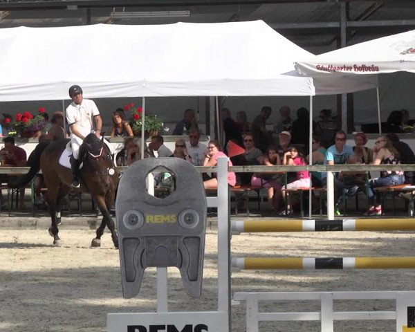 Reitturnier Waiblingen 2017