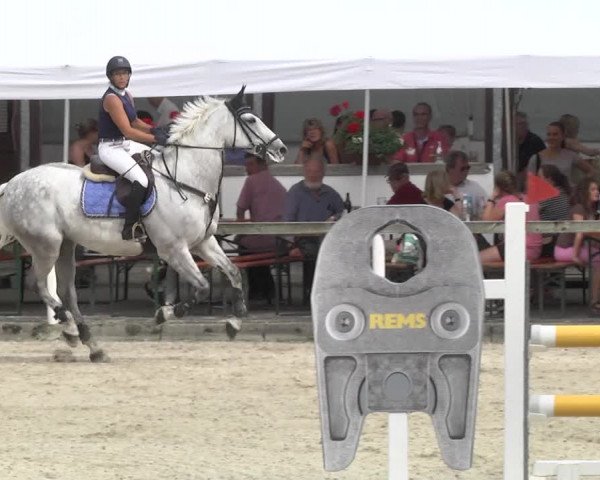 Reitturnier Waiblingen 2017