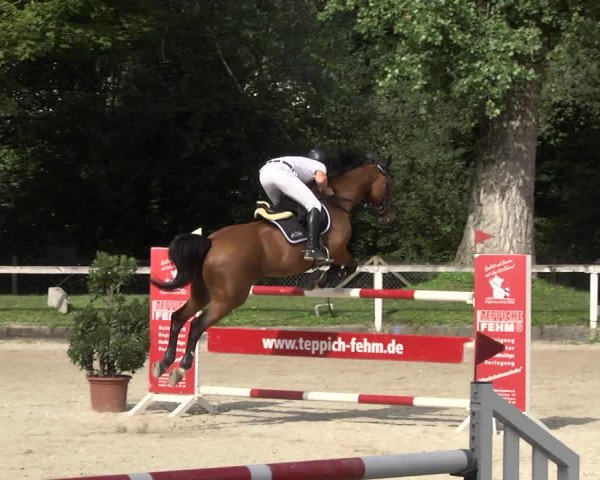 Reitturnier Waiblingen 2017