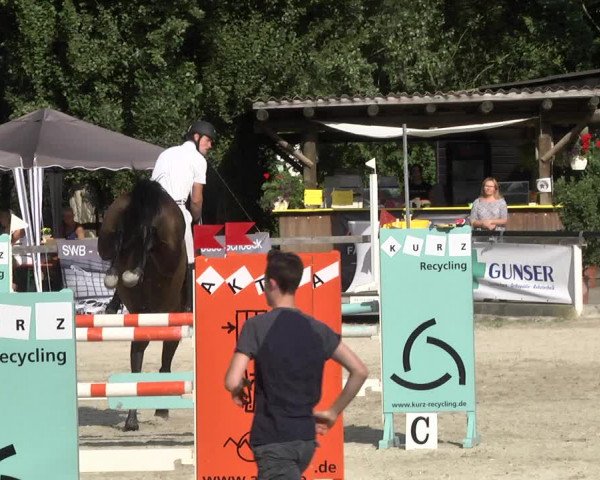 Reitturnier Waiblingen 2017