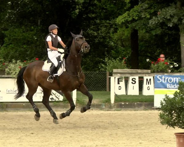 Reitturnier Waiblingen 2017