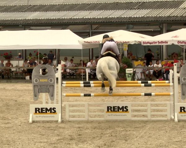Reitturnier Waiblingen 2017