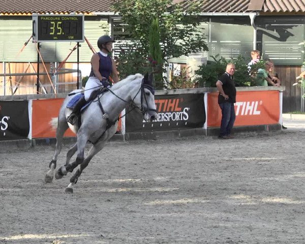 Reitturnier Waiblingen 2017
