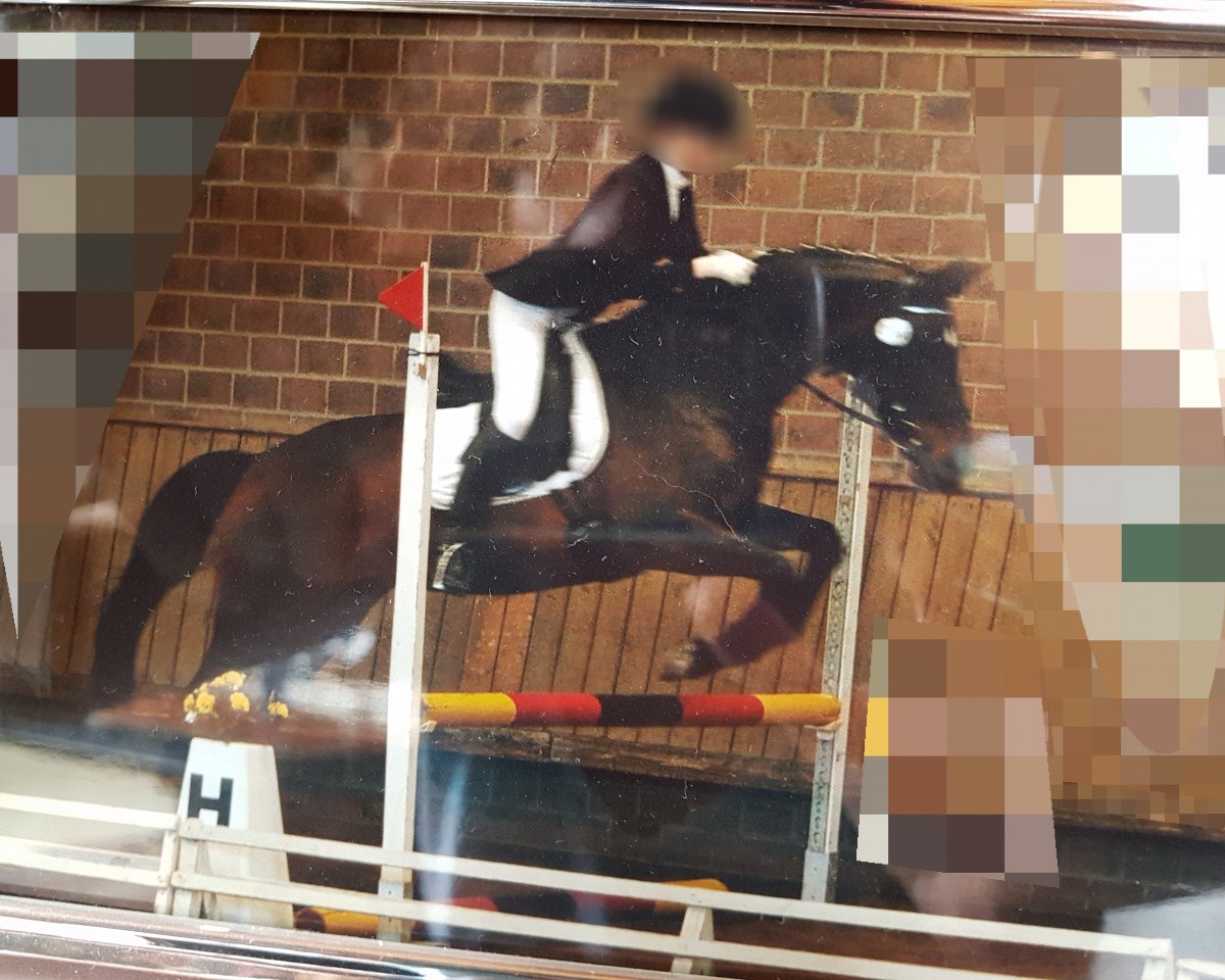 horse Lucy Lectric (KWPN (Royal Dutch Sporthorse), 1993, from Elcaro)