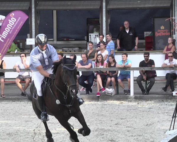 Reitturnier Waiblingen 2017