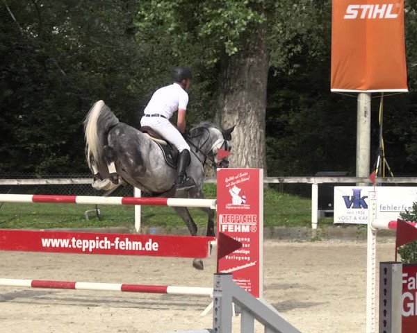 Reitturnier Waiblingen 2017