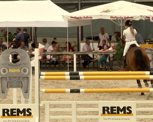 Reitturnier Waiblingen 2017
