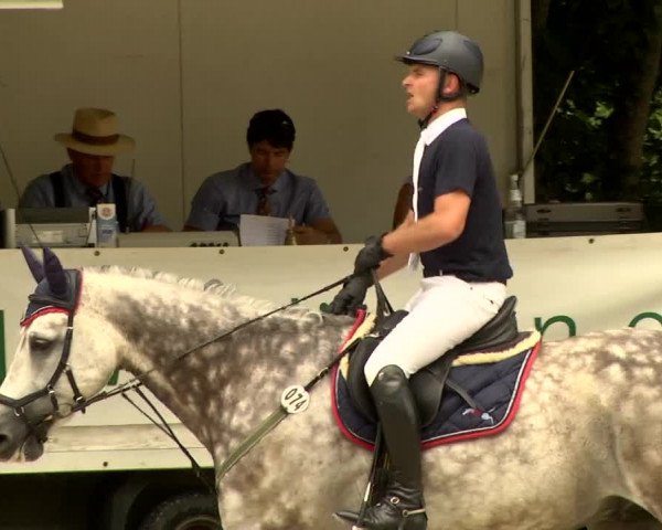Reitturnier Waiblingen 2017