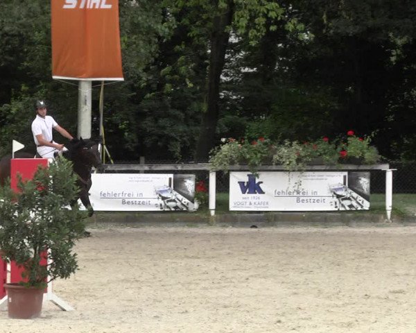Reitturnier Waiblingen 2017