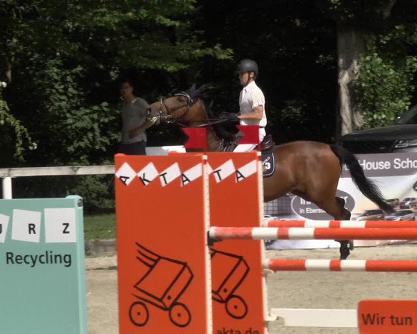 Reitturnier Waiblingen 2017