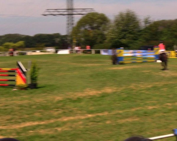 Reitturnier Baschütz bei Bautzen 2017