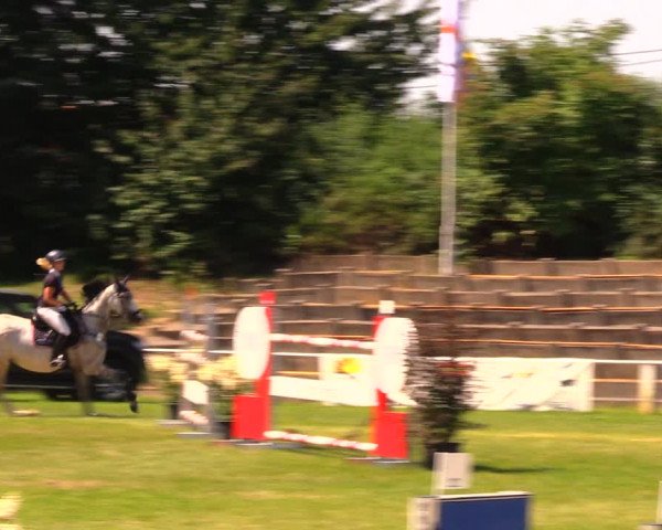 Reitturnier Baschütz bei Bautzen 2017