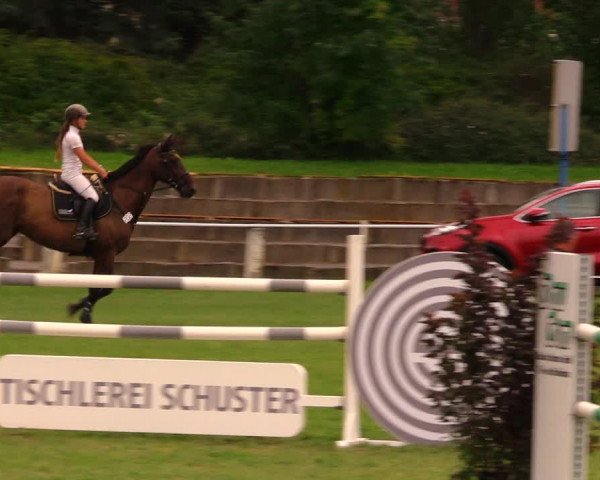 Reitturnier Baschütz bei Bautzen 2017