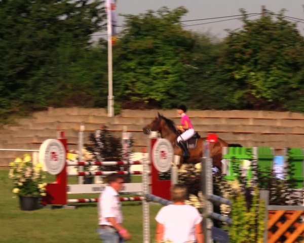 Reitturnier Baschütz bei Bautzen 2017