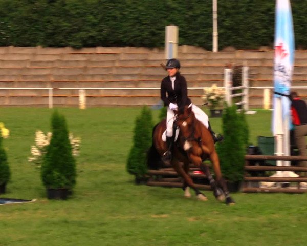 Reitturnier Baschütz bei Bautzen 2017