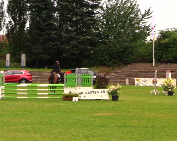 Reitturnier Baschütz bei Bautzen 2017