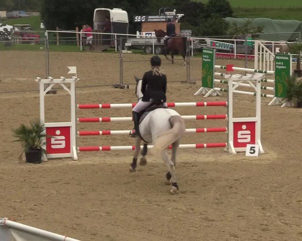 Reitturnier Brilon 2017