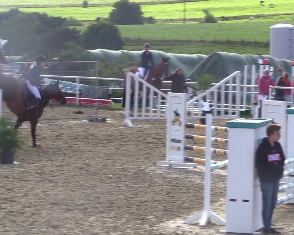 Reitturnier Brilon 2017
